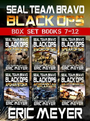 cover image of SEAL Team Bravo